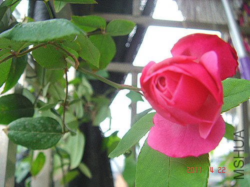 DSC00348_����.jpg