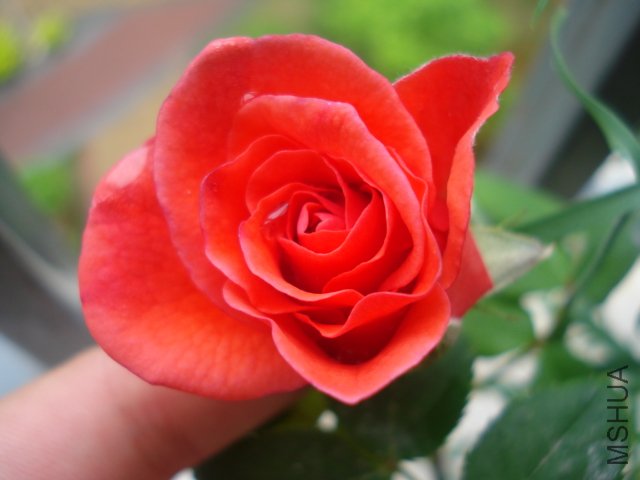 DSC05095.JPG
