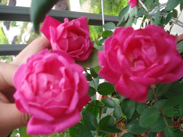 DSC05102.JPG