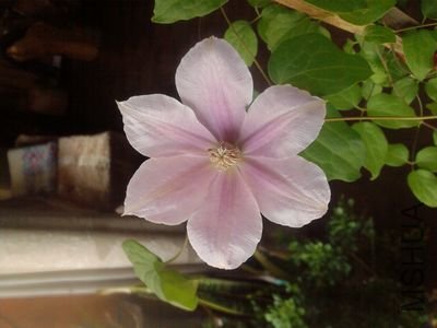 ��Ƭ-00091.jpg
