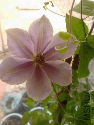 ��Ƭ-00081.jpg