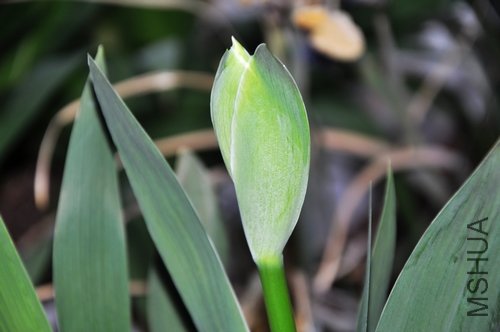 DSC_0664.JPG