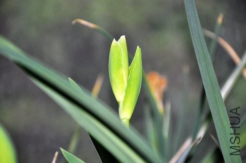 DSC_0667.JPG