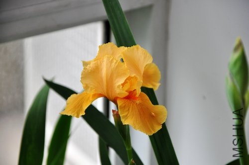 DSC_0753.JPG