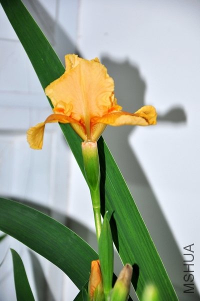 DSC_0751.JPG