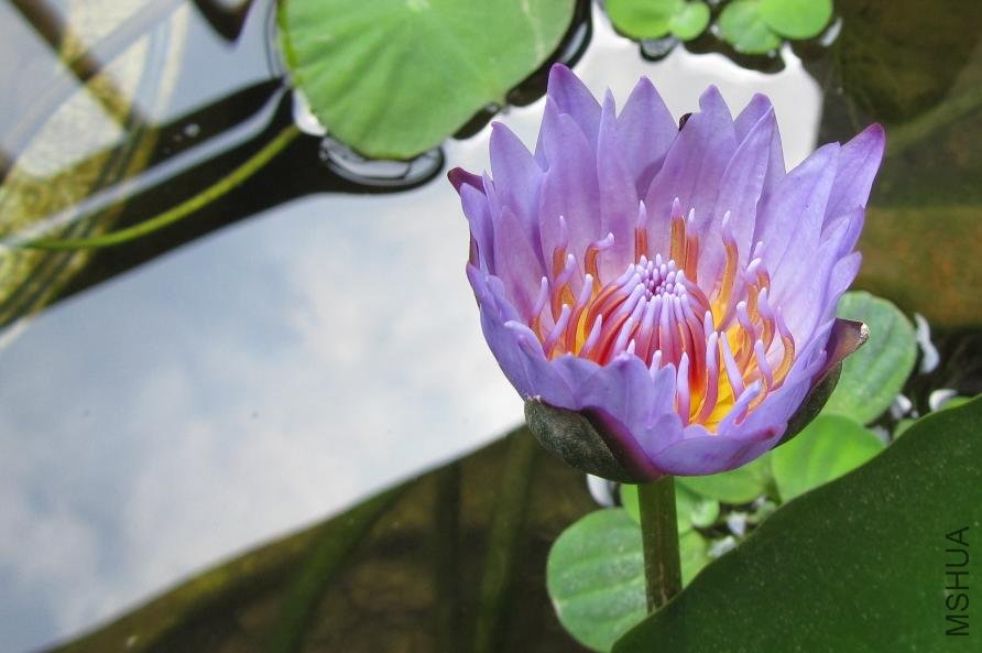 �������