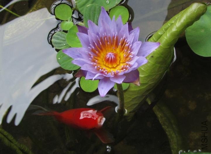 ���Ҳ���ͻ�