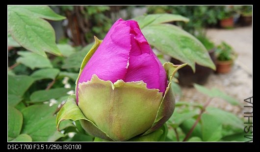 DSC03174.jpg
