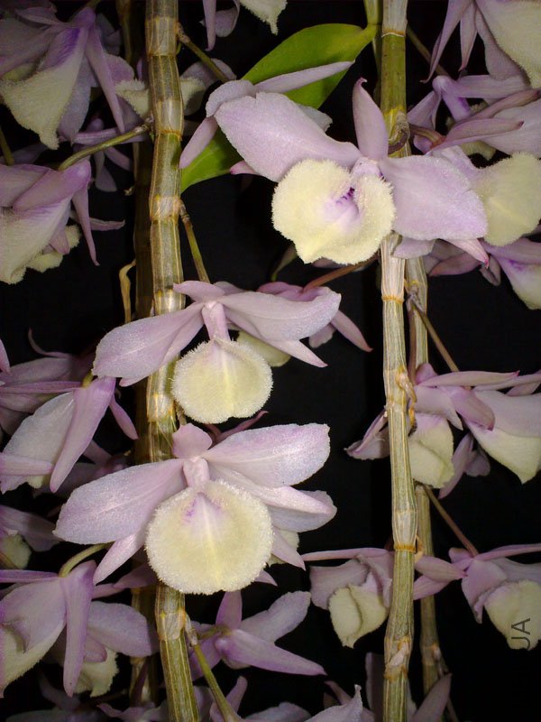 201104235414.jpg