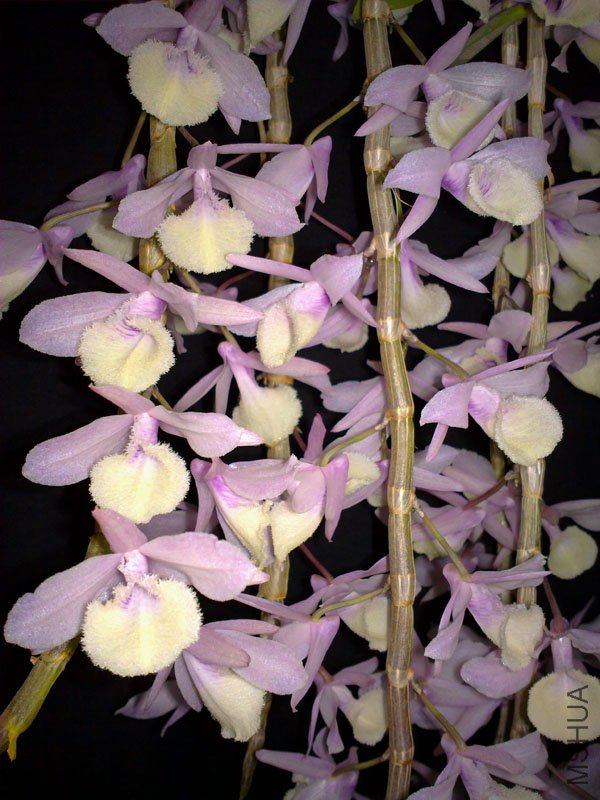 201104235411.jpg