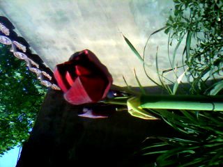 0420082500_����.jpg