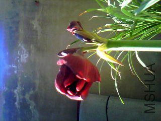 0420082502_����.jpg