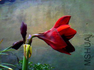 0420163703_����.jpg