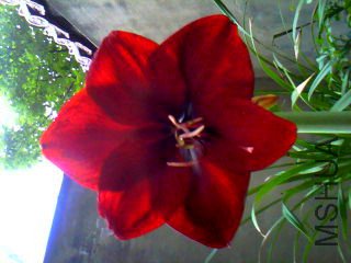 0421181601_����.jpg