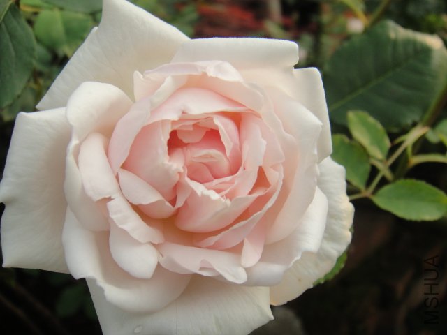 DSC01465.JPG