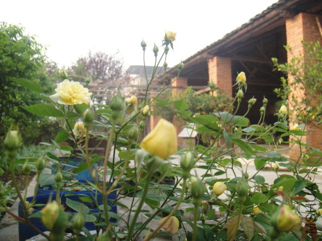 DSC01440.JPG