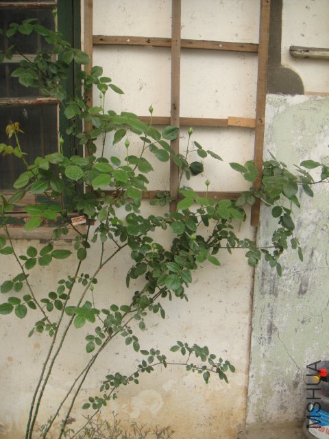 DSC01472.JPG