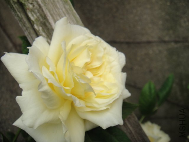 DSC01473.JPG