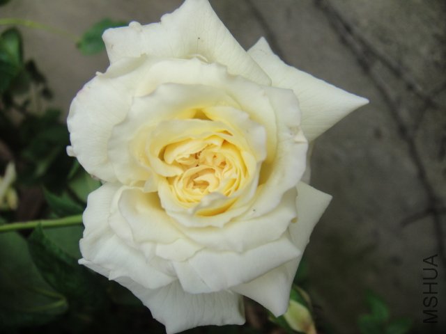 DSC01474.JPG
