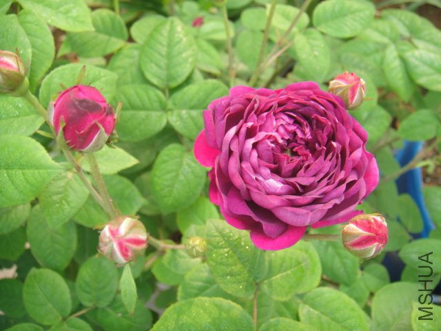 DSC01449.JPG