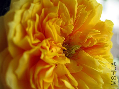 ��Ƭ 009.jpg