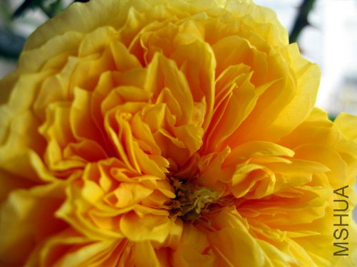 ��Ƭ 0061.jpg