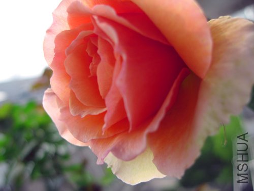 ��Ƭ 019.jpg