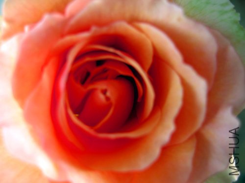 ��Ƭ 027.jpg