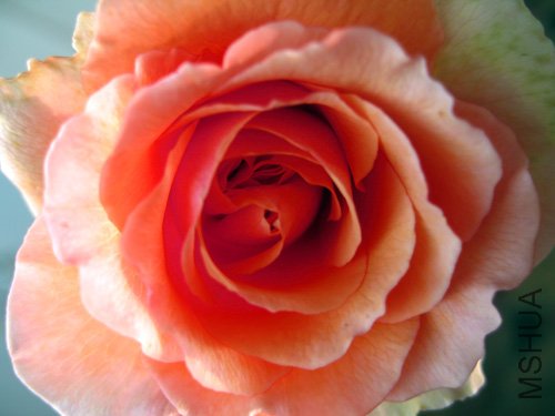 ��Ƭ 023.jpg