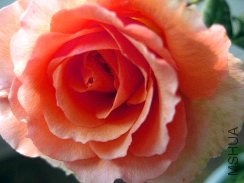 ��Ƭ 024.jpg
