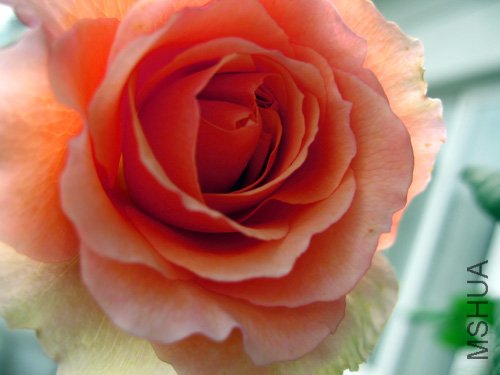 ��Ƭ 017.jpg