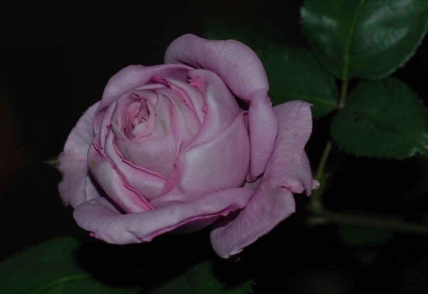 01.JPG
