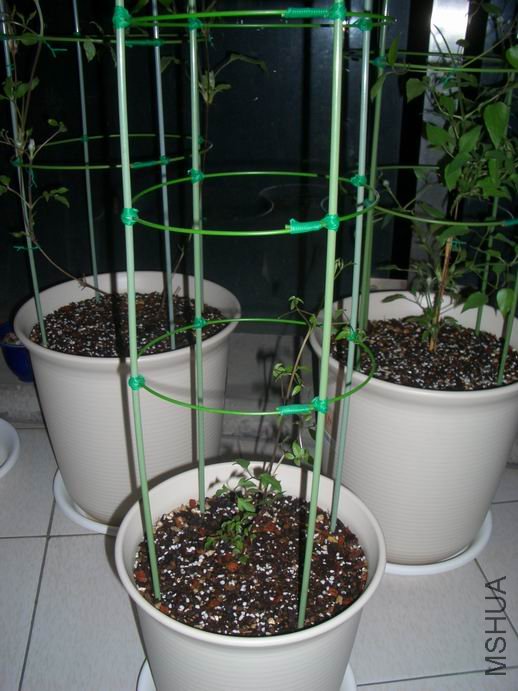 ������С ��ת CIMG0005.JPG