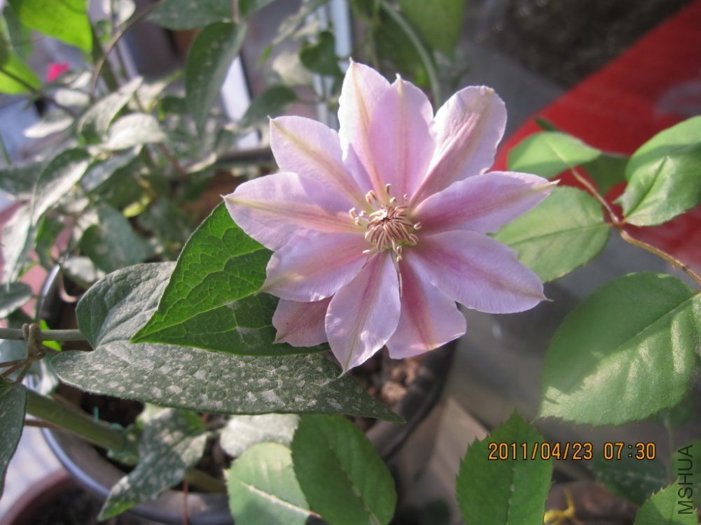 ��Ƭ������ 013.jpg