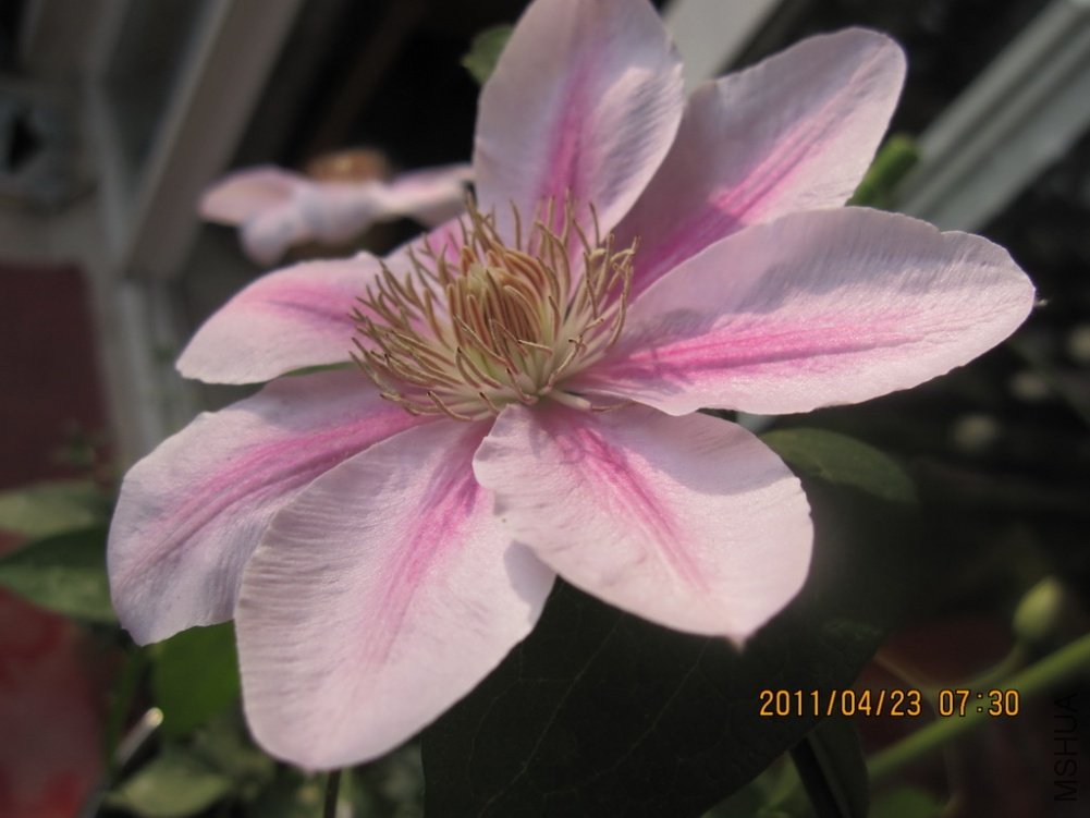 ��Ƭ������ 015.jpg