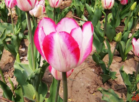 DSCN1428.jpg