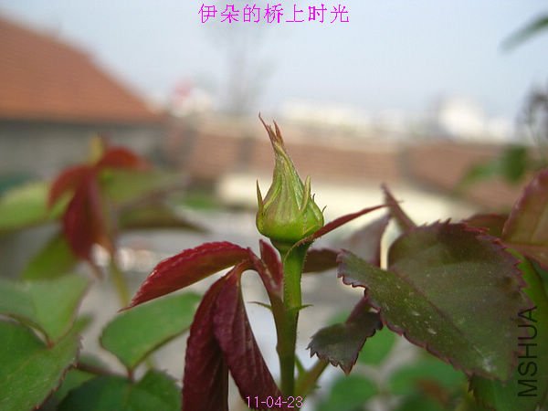 nEO_IMG_��Ƭ 346.jpg