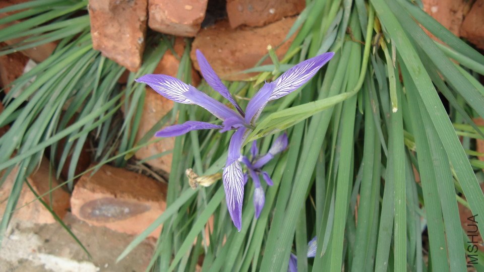 DSC02421.JPG