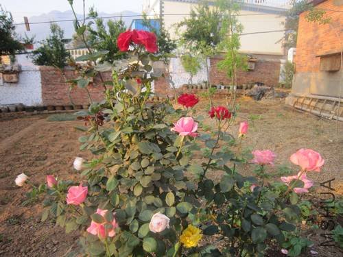 �¼���6 050.jpg