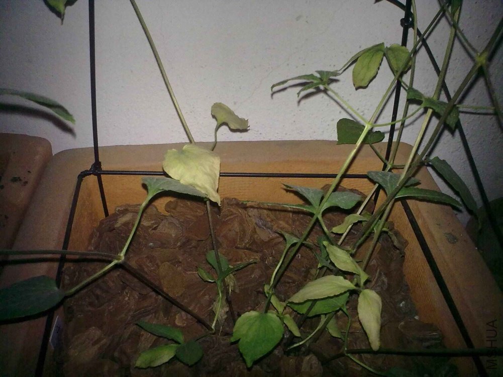 201104222009.jpg