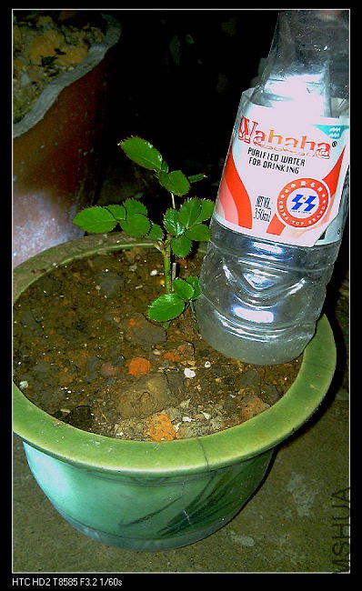 IMAG0640.jpg