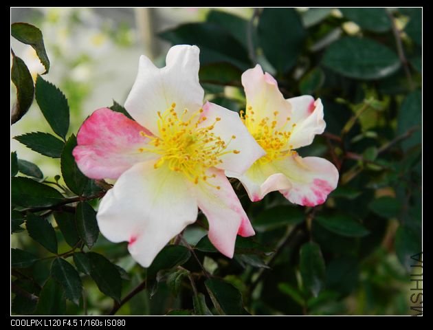 nEO_IMG_��Ƭ 045.jpg