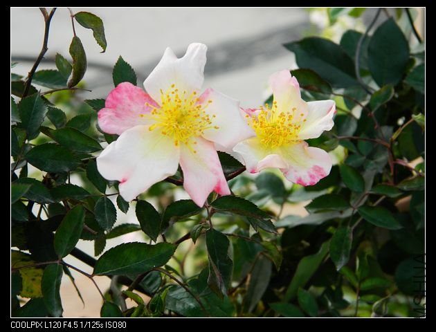 nEO_IMG_��Ƭ 047.jpg