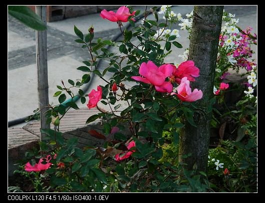 nEO_IMG_��Ƭ 556.jpg