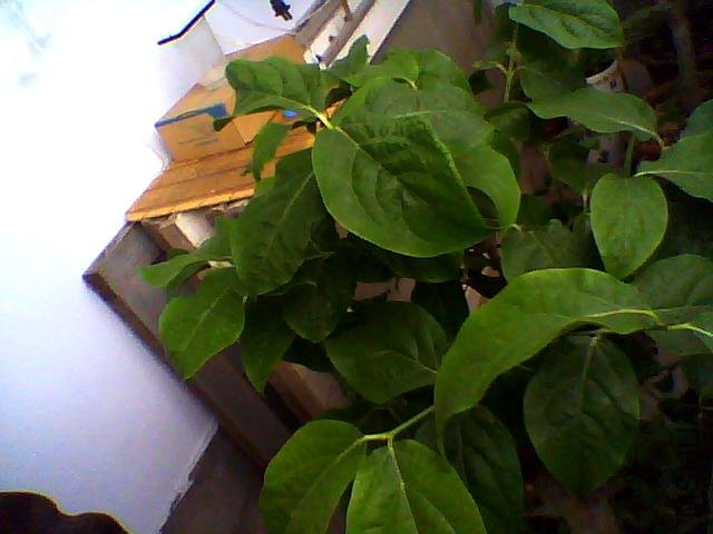ͼƬ 012.jpg