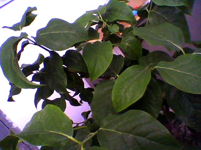 ͼƬ 016.jpg