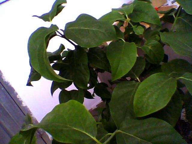 ͼƬ 015.jpg