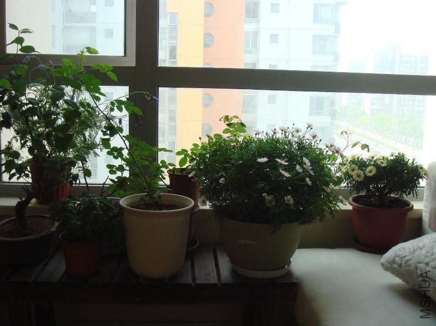 DSC04595.JPG