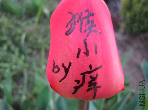 IMG_3122_����.jpg