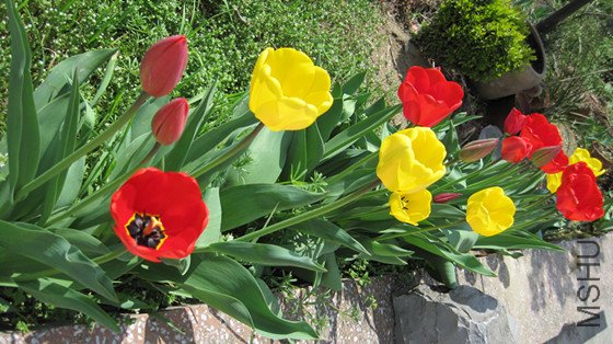 IMG_3149_����.jpg